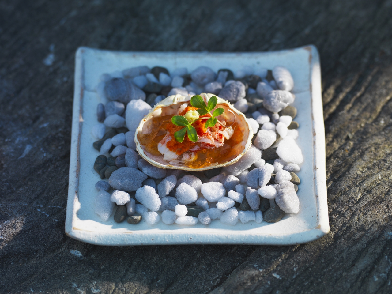 エルムガーデン 顔合わせ・結納の料理 1